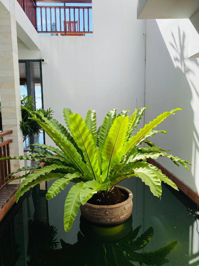 Vivian Hotel Mũi Né Extérieur photo